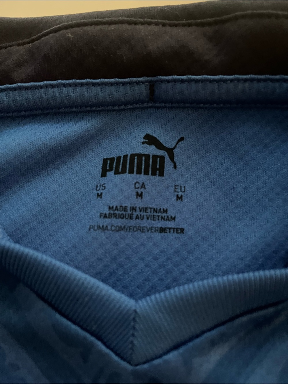 Italia 2020-21 Home soccer jersey - Picture 3 of 4